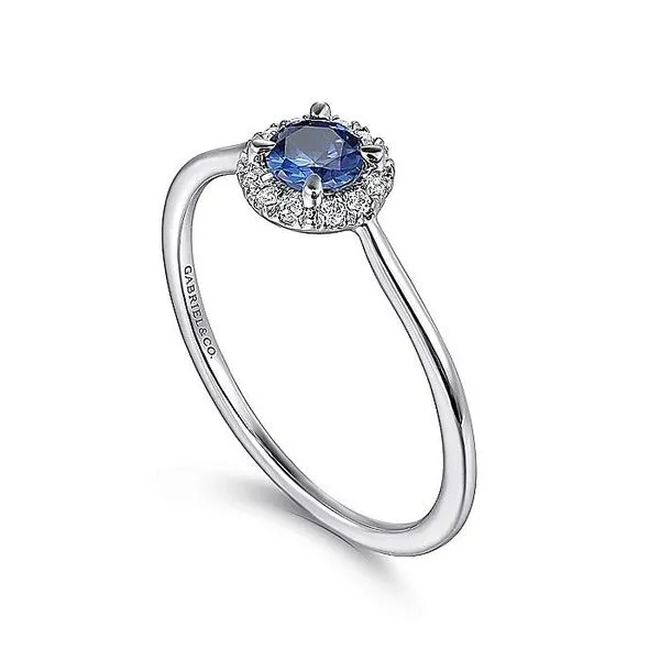 14K White Gold Sapphire and Diamond Halo Birthstone Ring Image 3 Koerbers Fine Jewelry Inc New Albany, IN