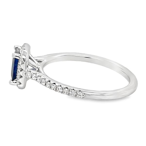 14K White Gold Sapphire Fashion Ring Image 2 Koerbers Fine Jewelry Inc New Albany, IN