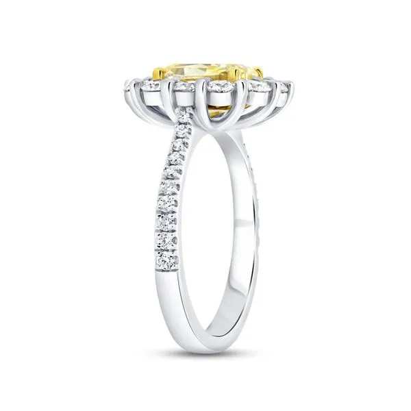 14K Yellow Gold and Platinum Halo Cushion Cut Yellow Diamond Engagement Ring Image 2 Koerbers Fine Jewelry Inc New Albany, IN