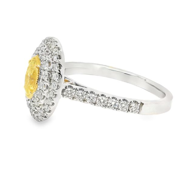 18K White Gold Double Halo Yellow Diamond Ring 0.98 CTW Image 2 Koerbers Fine Jewelry Inc New Albany, IN