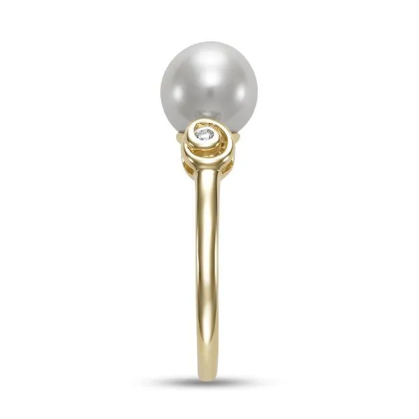 14K Yellow Gold Freshwater Pearl Ring Image 3 Koerbers Fine Jewelry Inc New Albany, IN