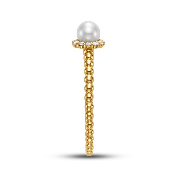 14K Yellow Gold Pearl Fashion Ring Image 2 Koerbers Fine Jewelry Inc New Albany, IN