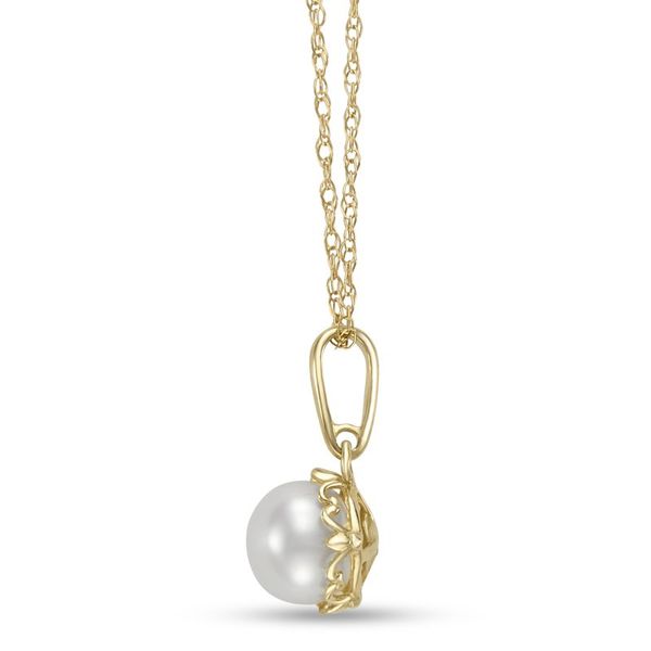 14K Yellow Gold Pearl Necklace Image 2 Koerbers Fine Jewelry Inc New Albany, IN