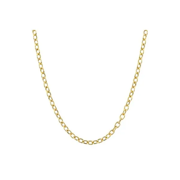 18K Yellow Gold Oval Link Chain 18