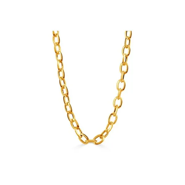 18K Yellow Gold Oval Chain Koerbers Fine Jewelry Inc New Albany, IN