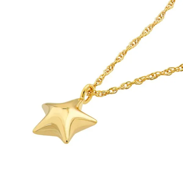 14K Yellow Gold Polished Star Pendant Necklace Image 2 Koerbers Fine Jewelry Inc New Albany, IN
