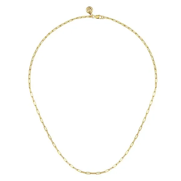 14K Yellow Gold Hollow Paper Clip Chain Necklace Image 2 Koerbers Fine Jewelry Inc New Albany, IN