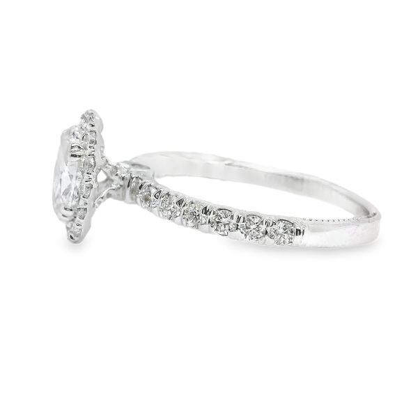 Estate 14K White Gold Verragio Diamond Engagement Ring Image 2 Koerbers Fine Jewelry Inc New Albany, IN