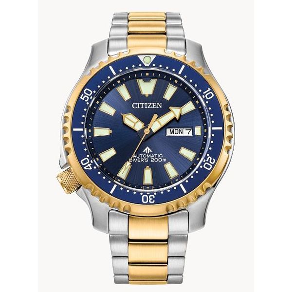 Citizen® Eco-Drive® 'Promaster Dive Automatic' Watch Koser Jewelers Mount Joy, PA