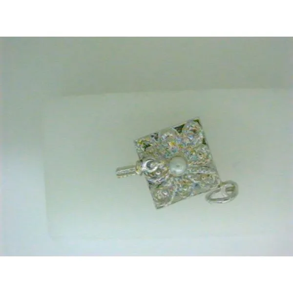 Silver Charm