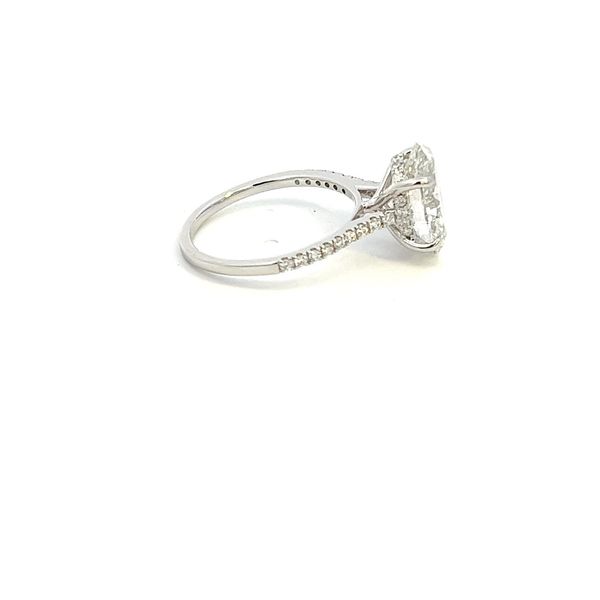 14K Lab Grown Diamond Oval Engagement Ring Image 3 Kiefer Jewelers Lutz, FL