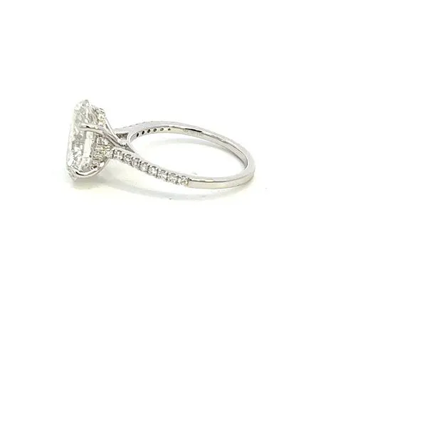 14K Lab Grown Diamond Oval Engagement Ring Image 4 Kiefer Jewelers Lutz, FL