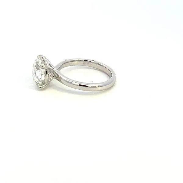 14K Lab Grown Round Center Diamond Engagement Ring Image 4 Kiefer Jewelers Lutz, FL