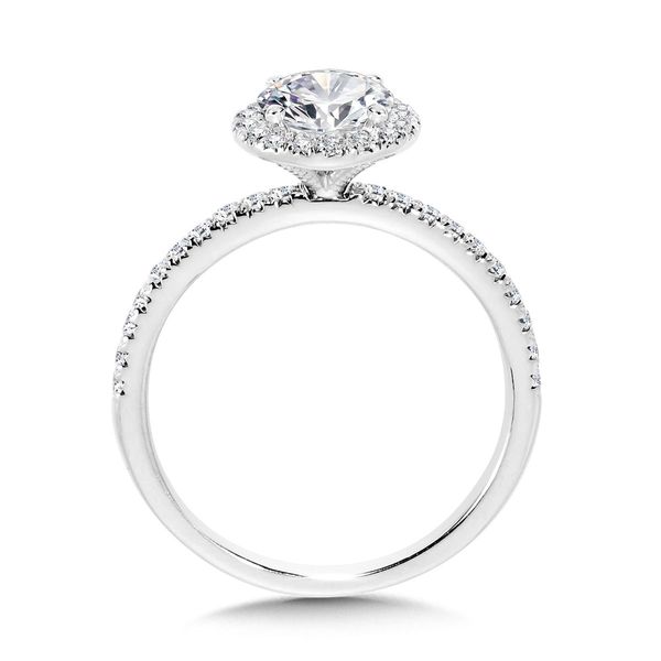 14K Lab Grown Round Center Diamond Engagement Ring Image 2 Kiefer Jewelers Lutz, FL
