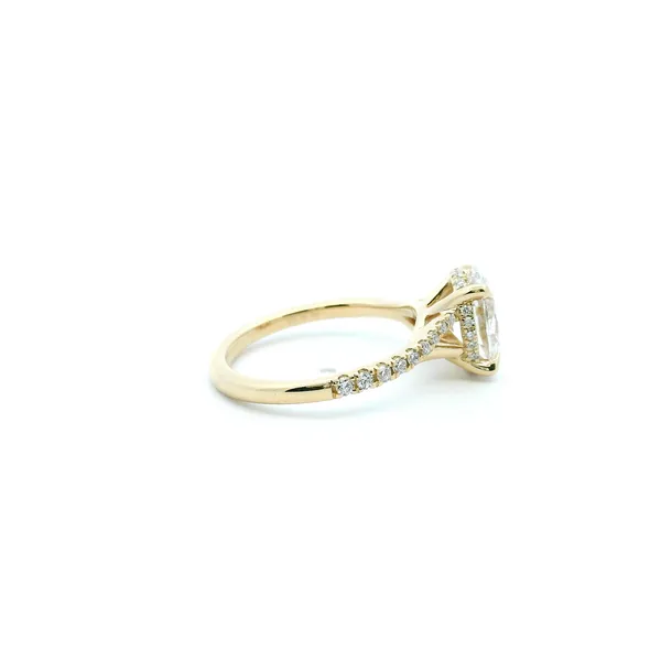 14KY 2.26CTW Lab-Grown Oval Spilt Shank Engagement Ring Image 3 Kiefer Jewelers Lutz, FL
