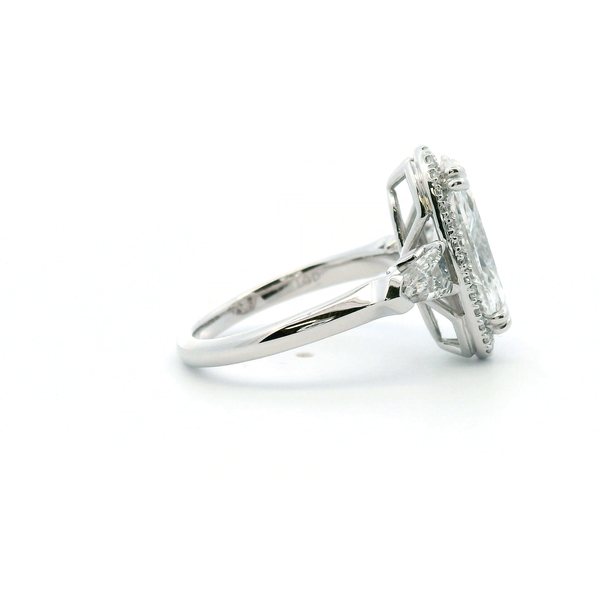 14KW 3.75ctw Lab Grown Moval Halo Engagement Ring Image 3 Kiefer Jewelers Lutz, FL