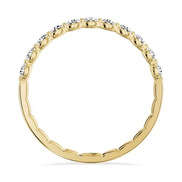 14K Diamond Wedding Ring Image 2 Kiefer Jewelers Lutz, FL