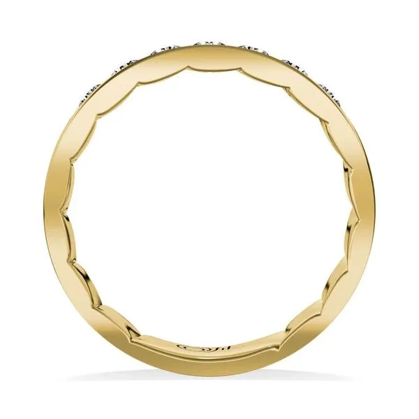 10K Diamond MFIT Ring Image 2 Kiefer Jewelers Lutz, FL
