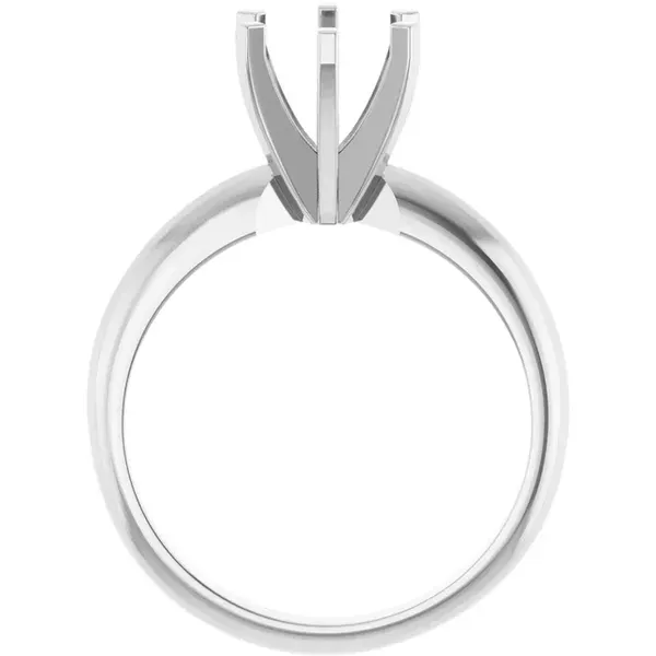 Platinum Engagement Ring Mounting Image 2 Kiefer Jewelers Lutz, FL