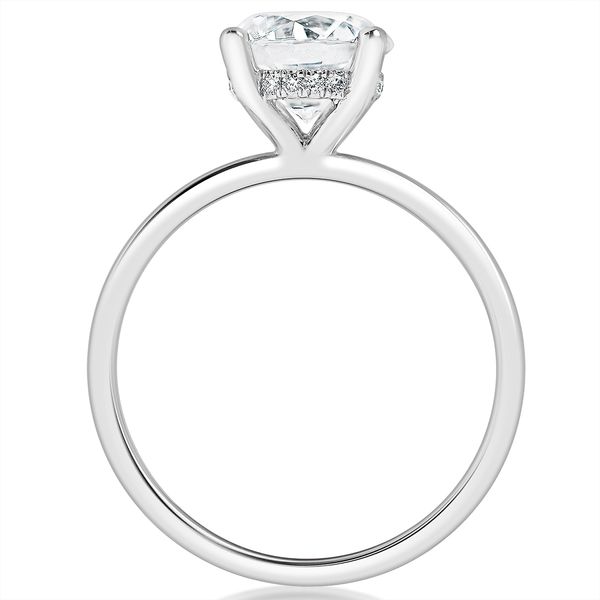 Engagement Ring Semi Mounting Image 2 Kiefer Jewelers Lutz, FL