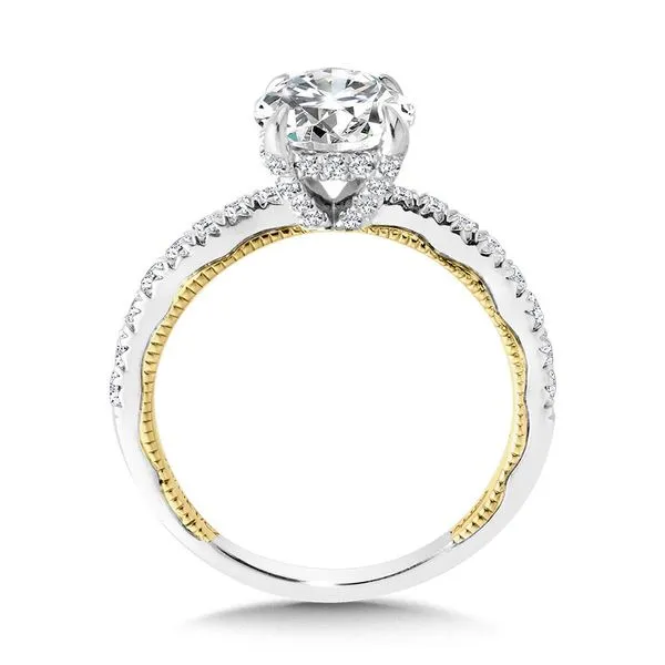 14K Valina Diamond Engagement Ring Setting Image 2 Kiefer Jewelers Lutz, FL