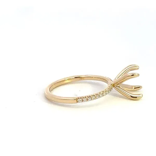 14K Diamond Engagement Ring Setting Image 2 Kiefer Jewelers Lutz, FL