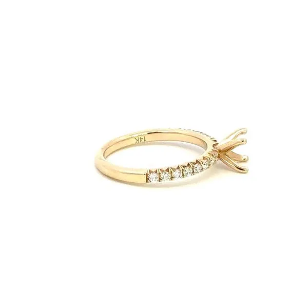 14K Diamond Engagement Ring Setting Image 2 Kiefer Jewelers Lutz, FL