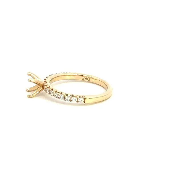 14K Diamond Engagement Ring Setting Image 3 Kiefer Jewelers Lutz, FL