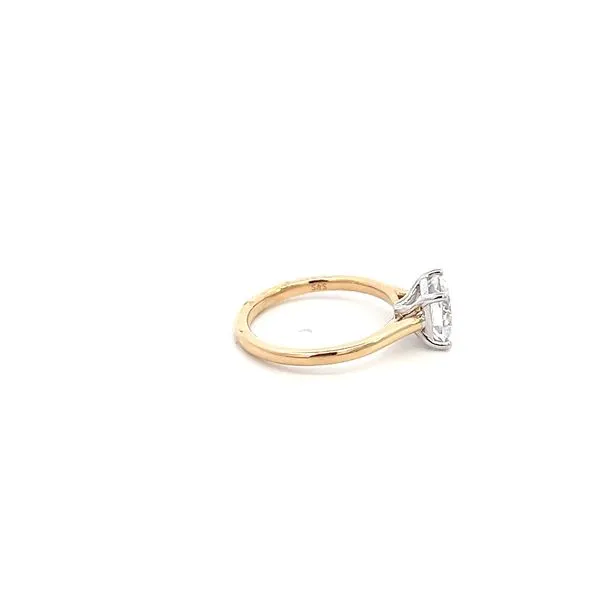 14K Two-Tone Solitaire Engagement Ring Setting Image 3 Kiefer Jewelers Lutz, FL