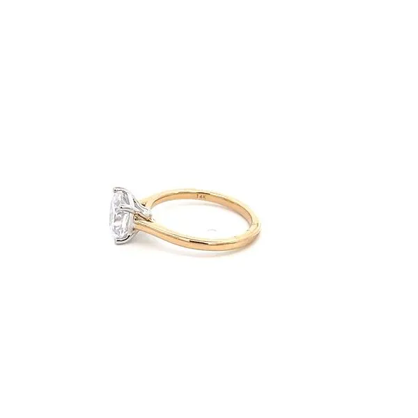 14K Two-Tone Solitaire Engagement Ring Setting Image 4 Kiefer Jewelers Lutz, FL