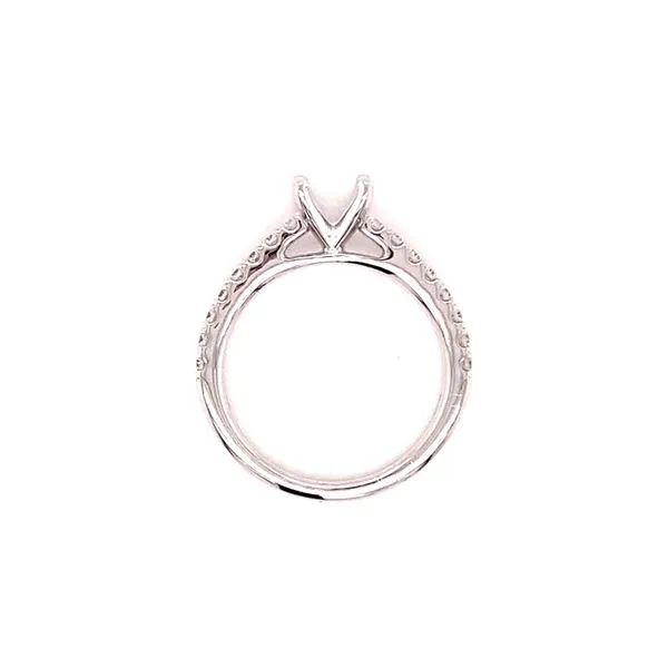 .30ctw Cathedral Diamond Engagement Ring Setting Image 3 Kiefer Jewelers Lutz, FL