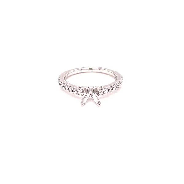 .30ctw Cathedral Diamond Engagement Ring Setting Kiefer Jewelers Lutz, FL