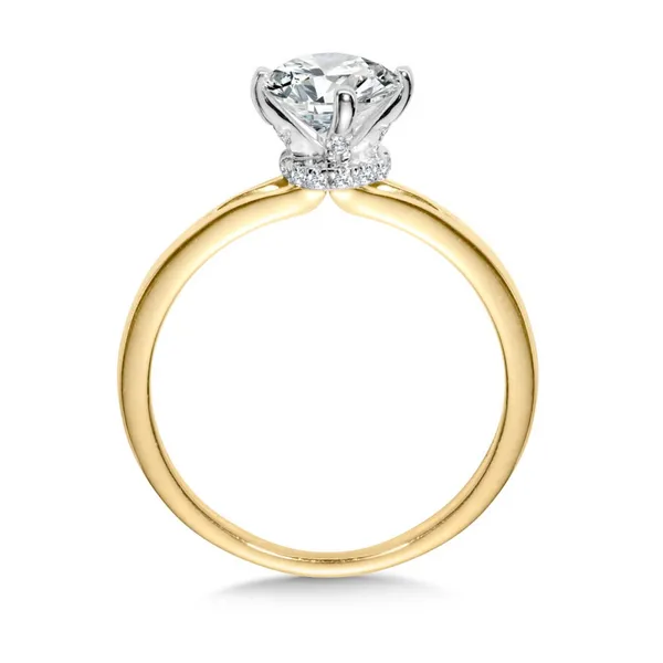 14KYW Diamond Semi-Mount Engagement Ring Image 2 Kiefer Jewelers Lutz, FL