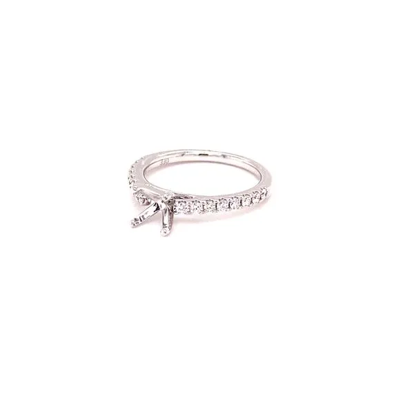 .30ctw Cathedral Diamond Engagement Ring Setting Image 2 Kiefer Jewelers Lutz, FL