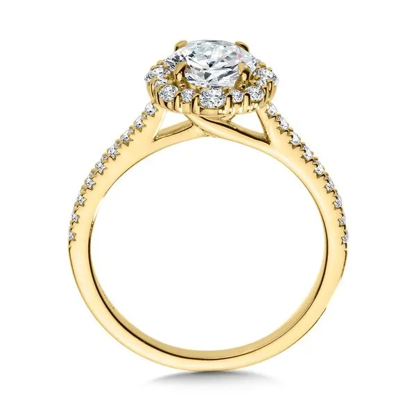 14K Diamond Modern Halo Engagement Ring Setting Image 2 Kiefer Jewelers Lutz, FL