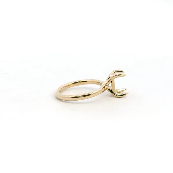 14KY Solitaire Semi-Mounting with Claw Prongs Image 3 Kiefer Jewelers Lutz, FL