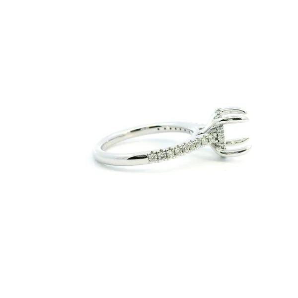 14KW Diamond Hidden Halo Engagement Ring Semi-Mounting Image 3 Kiefer Jewelers Lutz, FL