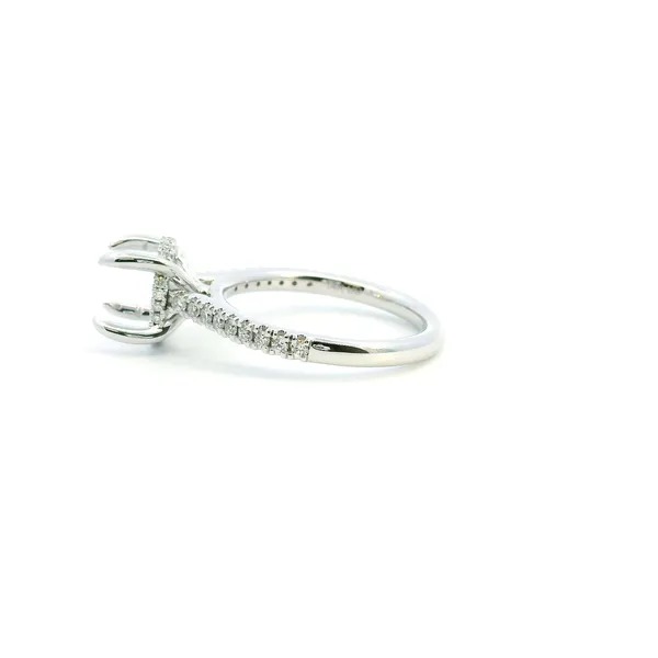 14KW Diamond Hidden Halo Engagement Ring Semi-Mounting Image 4 Kiefer Jewelers Lutz, FL