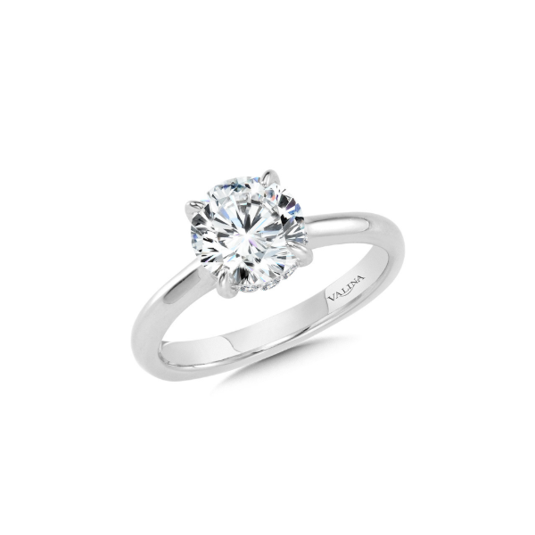 14KW Diamond Hidden Halo Semi-Mounting Engagement Ring by Valina Kiefer Jewelers Lutz, FL