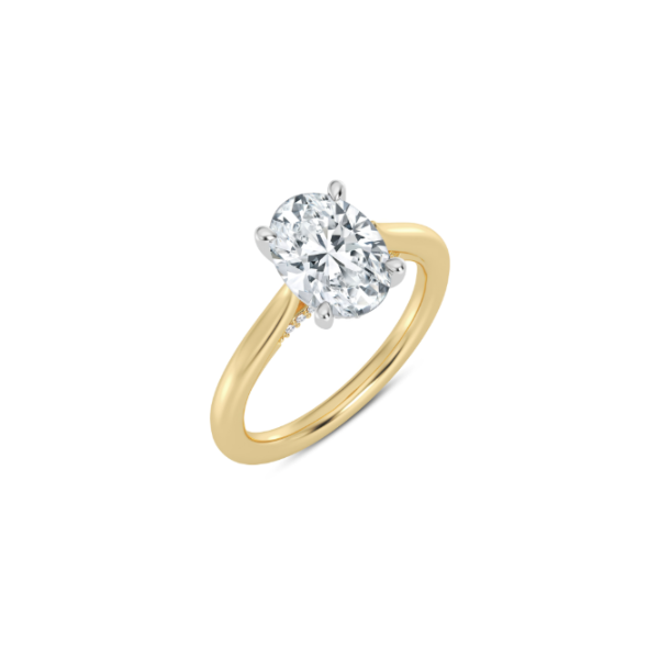 14K Two-Tone Hidden Halo Engagement Ring Setting Image 2 Kiefer Jewelers Lutz, FL