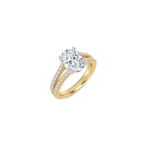 14K Diamond Split Shank Engagement Ring Setting Image 2 Kiefer Jewelers Lutz, FL