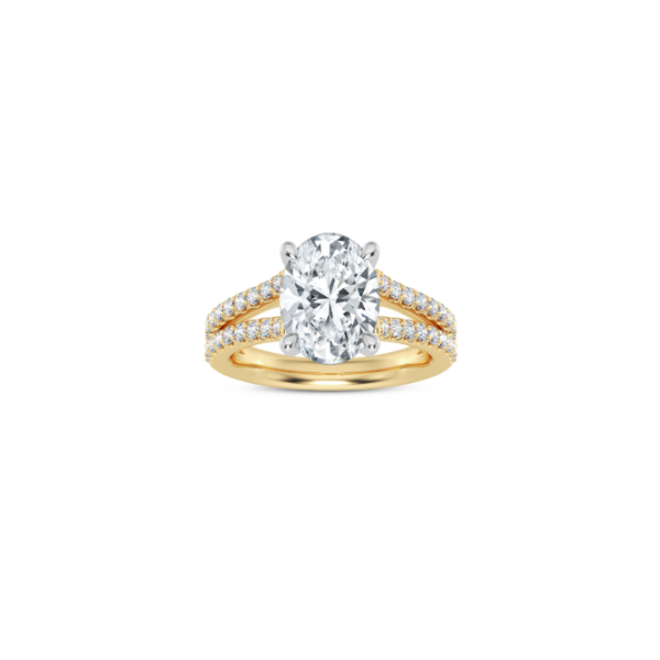 14K Diamond Split Shank Engagement Ring Setting Kiefer Jewelers Lutz, FL