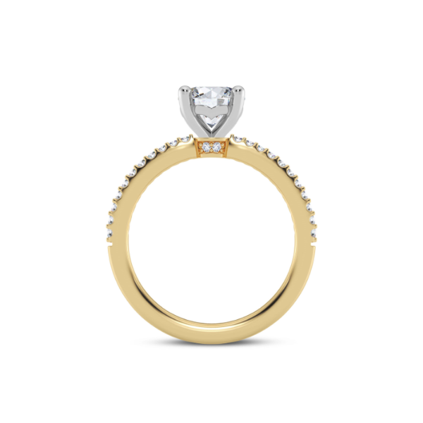 14KYW Shared Prong Engagement Ring Setting Image 3 Kiefer Jewelers Lutz, FL