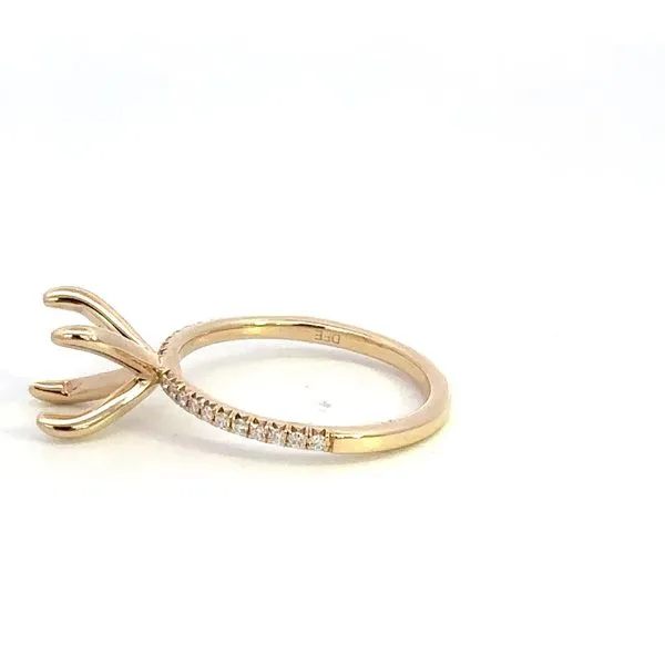 14K Diamond Engagement Ring Setting Image 3 Kiefer Jewelers Lutz, FL