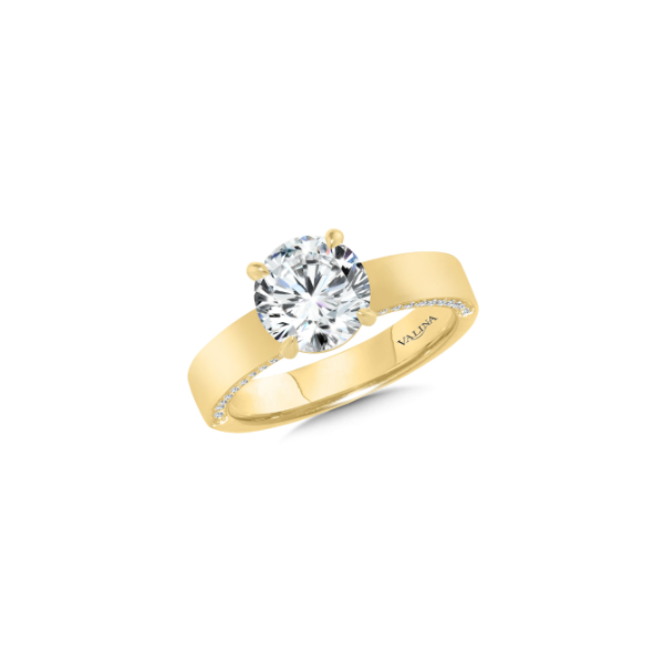 14KY Diamond Semi-Mount by Valina Kiefer Jewelers Lutz, FL