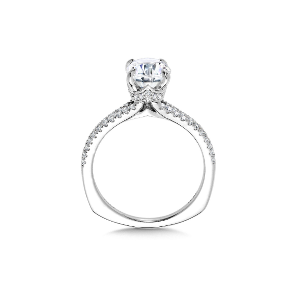 14KW 0.33CTW Diamond Spit Shank Semi-Mount Engagement Ring Image 2 Kiefer Jewelers Lutz, FL