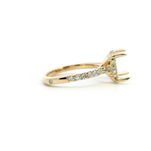 14KY 0.50CTW Diamond Hidden Halo Semi-Mounting Engagement Ring Image 3 Kiefer Jewelers Lutz, FL