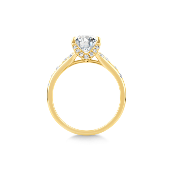 14KY 0.20CTW Diamond Stardust Semi-Mounting Engagement Ring Image 2 Kiefer Jewelers Lutz, FL