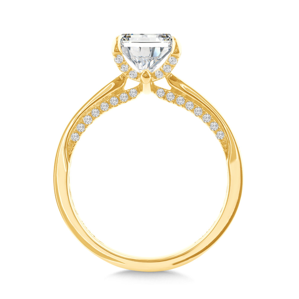14KY 0.16CTW Diamond Hidden Accent Semi-Mounting Engagemen Ring Image 2 Kiefer Jewelers Lutz, FL