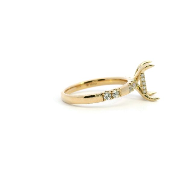 Engagement Ring Semi Mounting Image 3 Kiefer Jewelers Lutz, FL